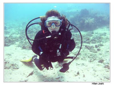 g4/90/294690/3/61119663.060525derawan240encomp.jpg