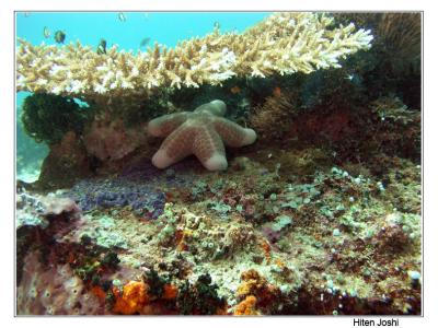 g4/90/294690/3/61119664.060525derawan242encomp.jpg