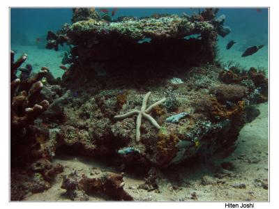 g4/90/294690/3/61119668.060525derawan247encomp.jpg