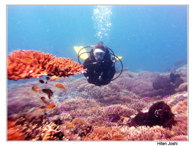 g4/90/294690/3/61119677.060525derawan268encomp.jpg