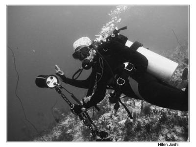 g4/90/294690/3/61119691.060525derawan332en2comp.jpg