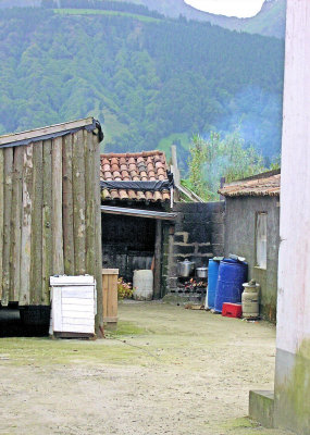 p1010020.jpg