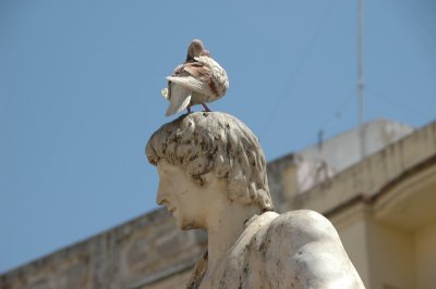 DSC_0921.JPG