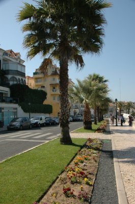 DSC_0768.JPG