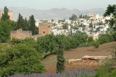 DSC_1032.JPG