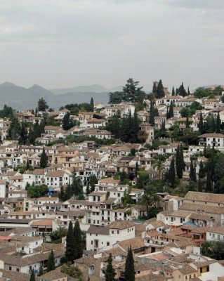 DSC_1114.JPG