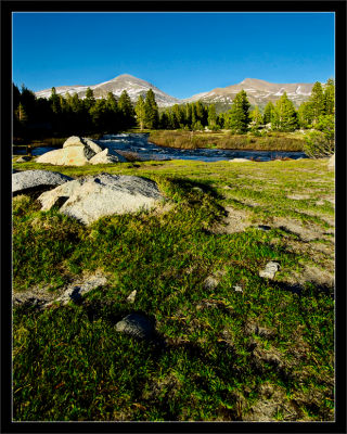 Meadows at Dana Fork