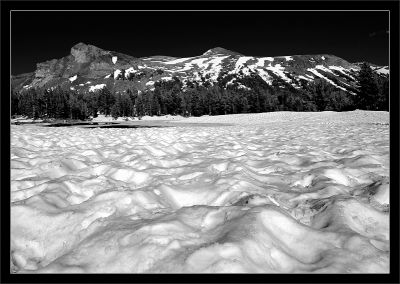 Snow-Cupped Field