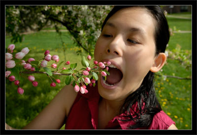 Flower Eater