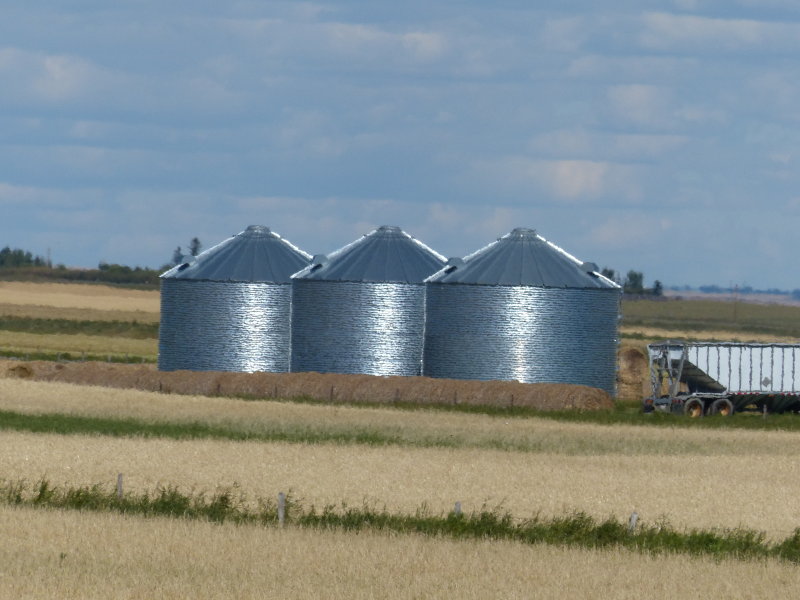 P1000477.JPG