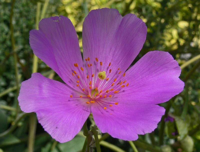 GardenCentres04.jpg