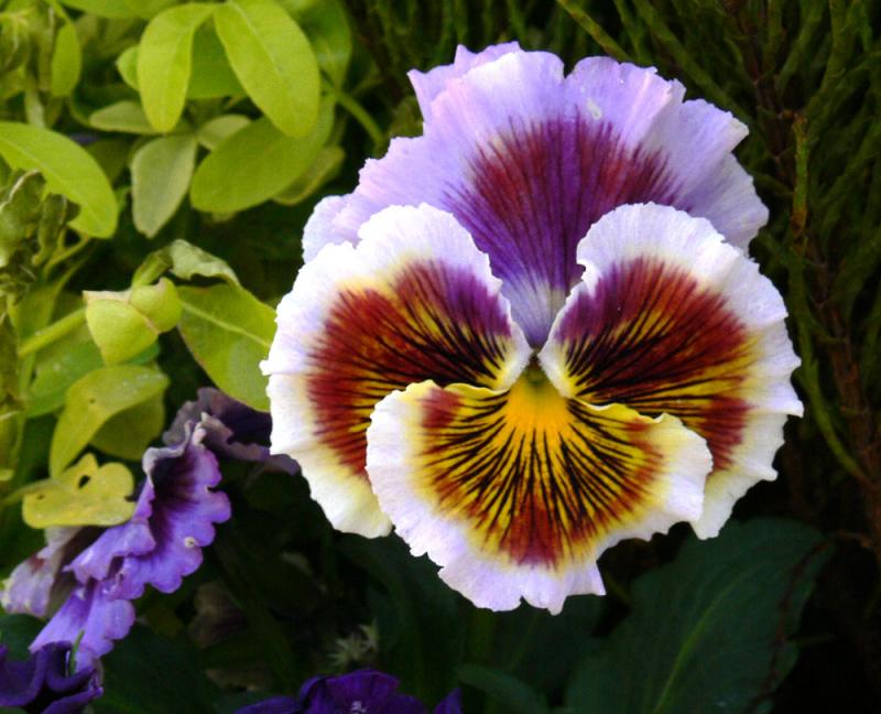 GardenCentres12.jpg