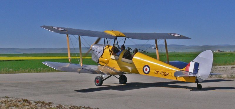 TigerMoth.jpg