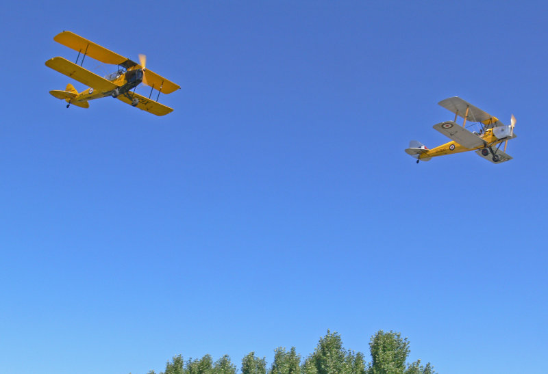 TigerMoths.jpg
