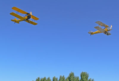 TigerMoths.jpg
