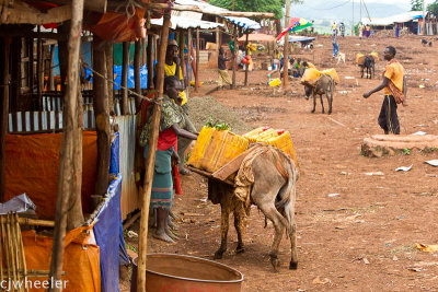 One of the villages. Most villages were cleaner than this one.