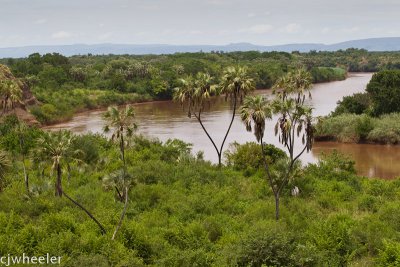 Omo River. We crossed just a little to the right of the picture.