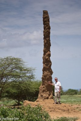 Vaughn and the tallest termite mound I've ever seen