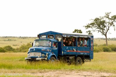 Another unusual safari truck but I'm happy they could make it