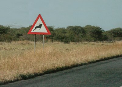 Kudu crossing sign in Namibia (taken thru the back window glass).