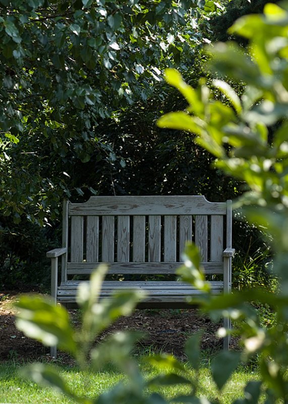 bench alone