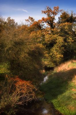 Ancient river - the river Pant in Little Sampford by Quentin Bargate