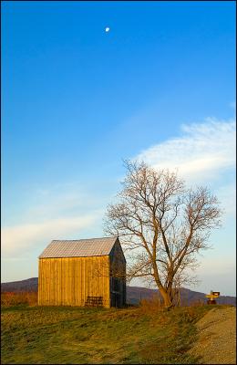 Early Morning Moon  by David Fink