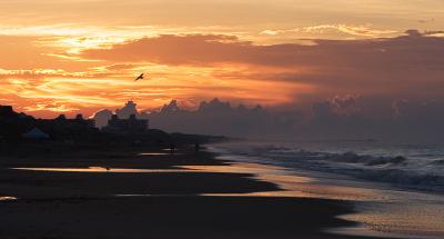 Carolina- Morning by Bill Vann