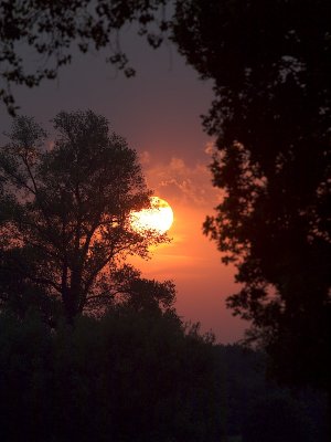 5th: Summer Sunset by jono slack