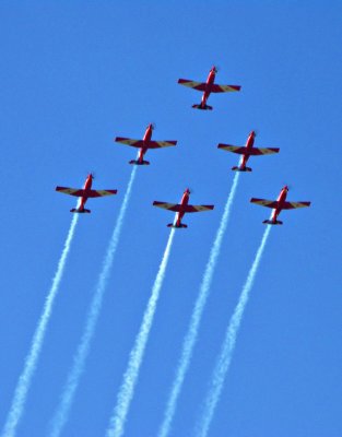 The Roulettes by Nifty