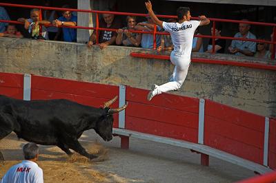 Bullfight - St Remy de Provence