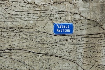 Avenue Pasteur - St Remy