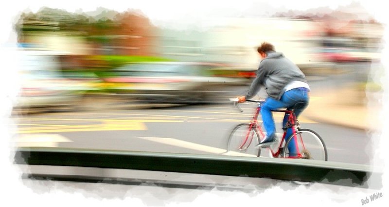 The Cyclist