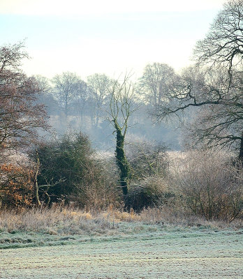A Cold and Frosty Morning.
