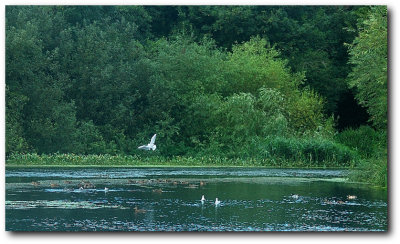 Wensum Park