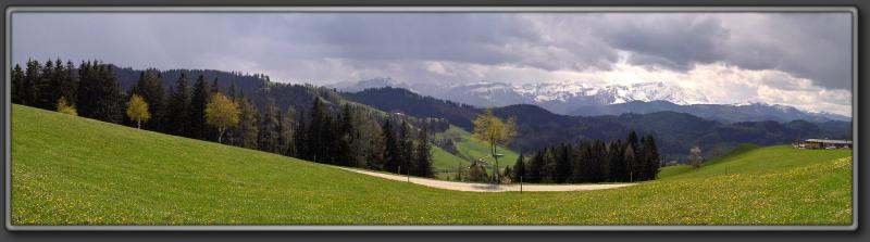 Alpine view from Hohe Buche