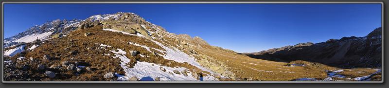 Fluelapass