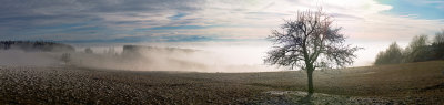 View from Mount Hchsten over fog-covered Lake Constance
