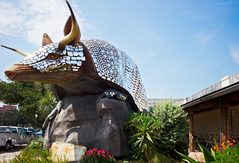 Goode Co Armadillo Palace 05
