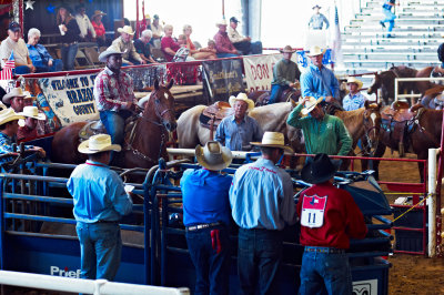 Brazoria County Fair roper at the chute