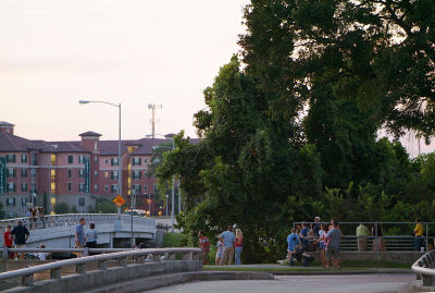 Waugh bridge bat watchers 01