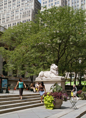 New York Public Library 02
