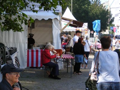 Festival in the town (2011)