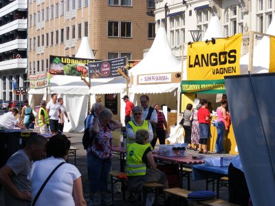 Festival in the town (2011)