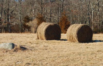 Big Hay Rolls