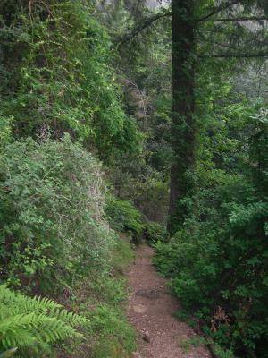 Winter Creek Trail