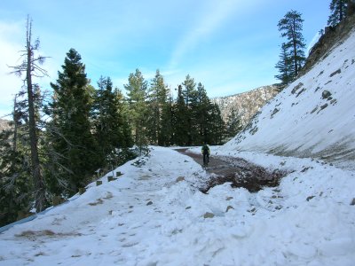 Angeles Crest Highway - San Gabriel Mountains