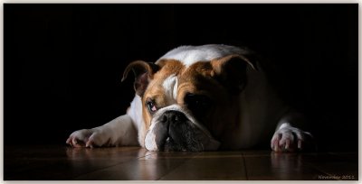 Sleeping on the hardwood floor