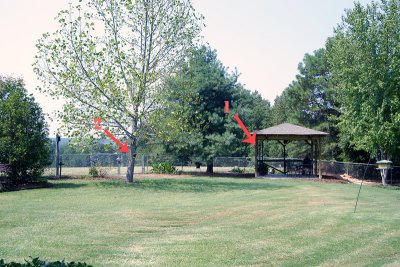 feeder-location.jpg