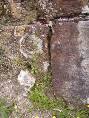 110122 Denniston Mine 19.JPG